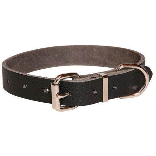 Plain leather shop dog collar